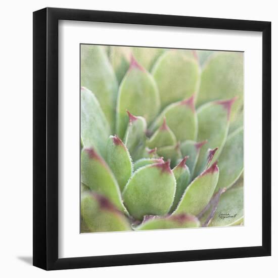 Garden Succulents I Color-Laura Marshall-Framed Art Print