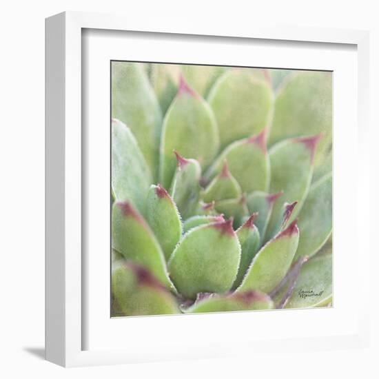 Garden Succulents I Color-Laura Marshall-Framed Art Print