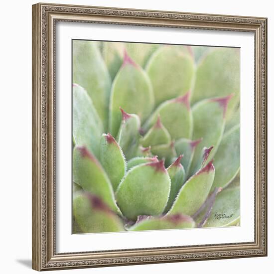 Garden Succulents I Color-Laura Marshall-Framed Art Print