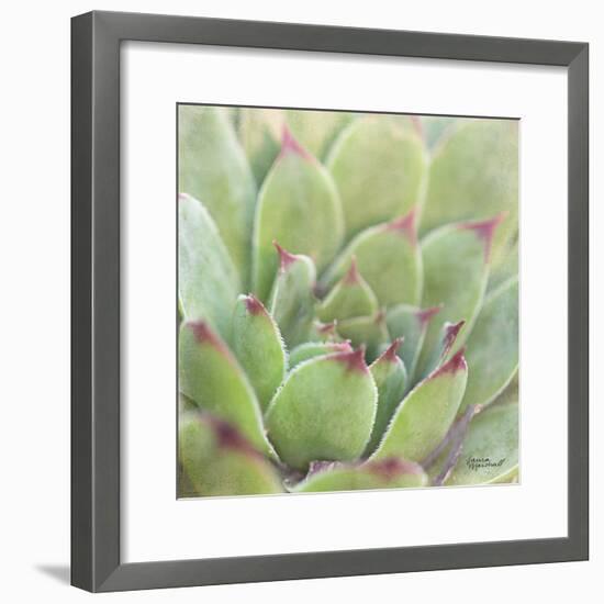 Garden Succulents I Color-Laura Marshall-Framed Art Print