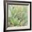 Garden Succulents I Color-Laura Marshall-Framed Art Print