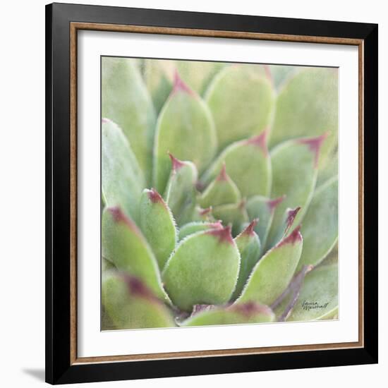 Garden Succulents I Color-Laura Marshall-Framed Art Print