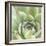 Garden Succulents III Color-Laura Marshall-Framed Art Print