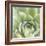 Garden Succulents III Color-Laura Marshall-Framed Art Print