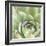 Garden Succulents III Color-Laura Marshall-Framed Art Print