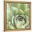 Garden Succulents III Color-Laura Marshall-Framed Stretched Canvas