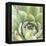 Garden Succulents III Color-Laura Marshall-Framed Stretched Canvas
