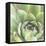 Garden Succulents III Color-Laura Marshall-Framed Stretched Canvas