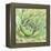 Garden Succulents IV Color-Laura Marshall-Framed Stretched Canvas