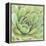 Garden Succulents IV Color-Laura Marshall-Framed Stretched Canvas