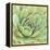 Garden Succulents IV Color-Laura Marshall-Framed Stretched Canvas