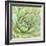 Garden Succulents IV Color-Laura Marshall-Framed Premium Giclee Print