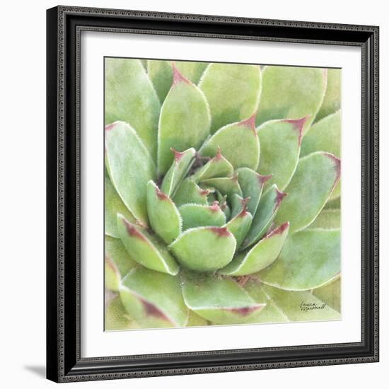 Garden Succulents IV Color-Laura Marshall-Framed Premium Giclee Print