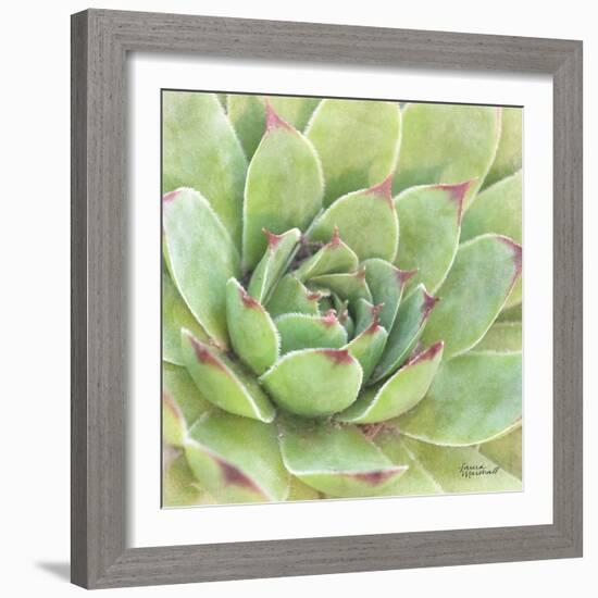 Garden Succulents IV Color-Laura Marshall-Framed Art Print