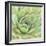 Garden Succulents IV Color-Laura Marshall-Framed Art Print