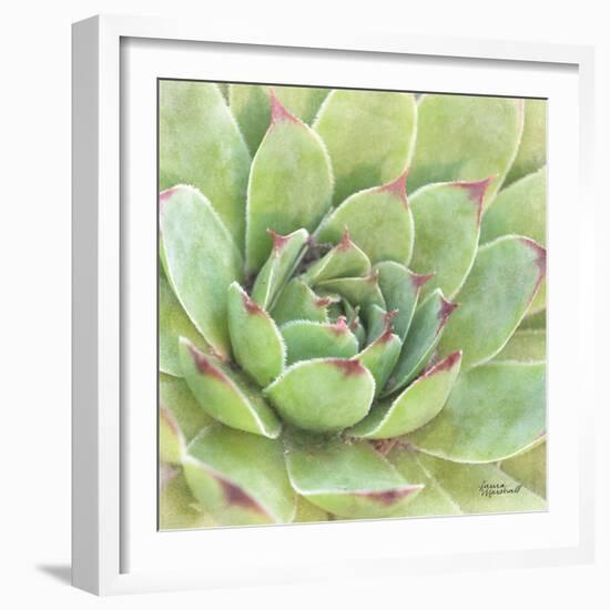 Garden Succulents IV Color-Laura Marshall-Framed Art Print