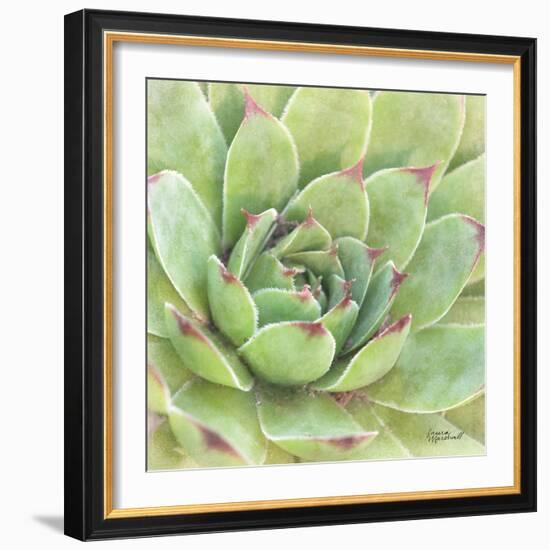 Garden Succulents IV Color-Laura Marshall-Framed Art Print