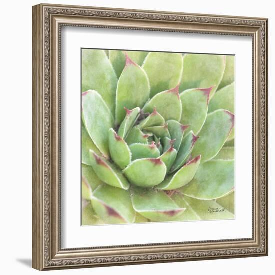 Garden Succulents IV Color-Laura Marshall-Framed Art Print