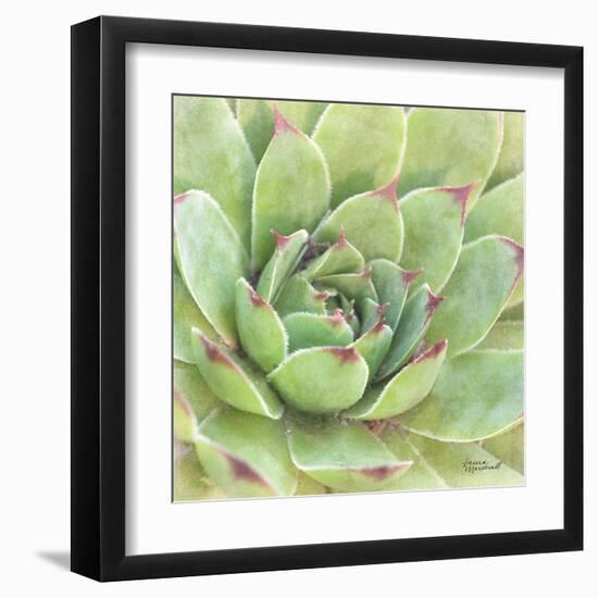 Garden Succulents IV Color-Laura Marshall-Framed Art Print