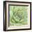 Garden Succulents IV Color-Laura Marshall-Framed Art Print