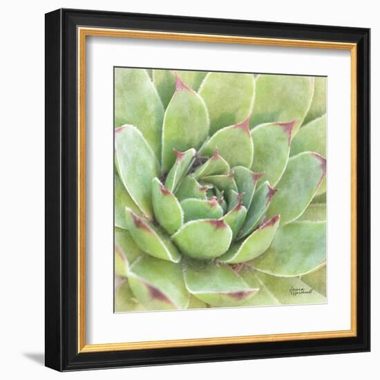 Garden Succulents IV Color-Laura Marshall-Framed Art Print