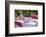 Garden table, covered, Easter breakfast-mauritius images-Framed Photographic Print