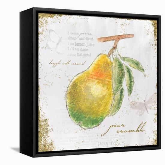 Garden Treasures III-Emily Adams-Framed Stretched Canvas