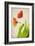 Garden Tulips-Judy Stalus-Framed Art Print