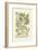 Garden Varietals II-Johann Wilhelm Weinmann-Framed Art Print