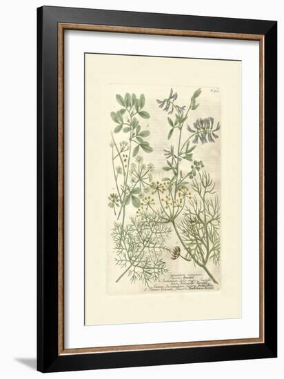 Garden Varietals IV-Johann Wilhelm Weinmann-Framed Art Print