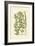 Garden Varietals V-Johann Wilhelm Weinmann-Framed Art Print