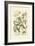 Garden Varietals VI-Johann Wilhelm Weinmann-Framed Art Print