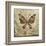 Garden Variety Butterfly II-Alan Hopfensperger-Framed Art Print