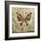 Garden Variety Butterfly II-Alan Hopfensperger-Framed Art Print