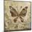 Garden Variety Butterfly II-Alan Hopfensperger-Mounted Art Print