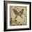 Garden Variety Butterfly III-Alan Hopfensperger-Framed Art Print