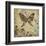 Garden Variety Butterfly III-Alan Hopfensperger-Framed Art Print