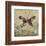 Garden Variety Butterfly IV-Alan Hopfensperger-Framed Art Print