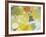 Garden Variety I-Sally Bennett Baxley-Framed Art Print