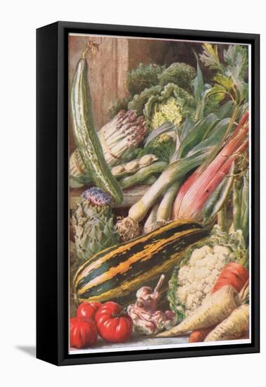 Garden Vegetables, Illustration from 'Garden Ways and Garden Days'-Louis Fairfax Muckley-Framed Premier Image Canvas