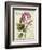 Garden View II-Lisa Audit-Framed Art Print