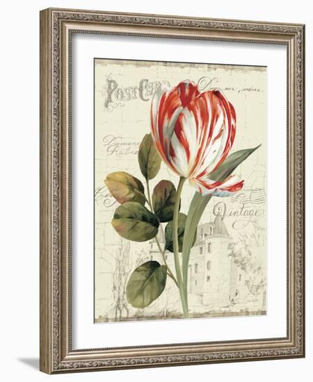 Garden View II-Lisa Audit-Framed Art Print