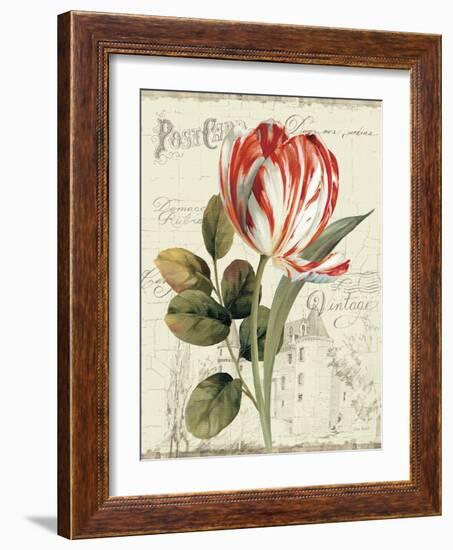 Garden View II-Lisa Audit-Framed Art Print