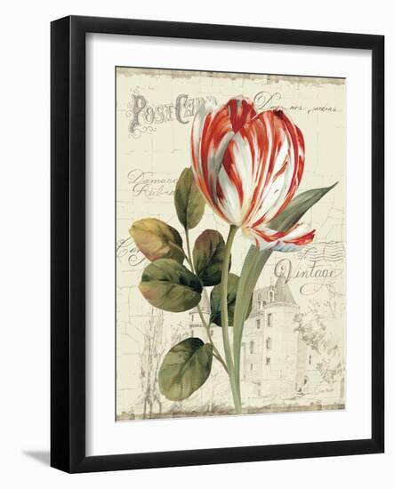 Garden View II-Lisa Audit-Framed Art Print