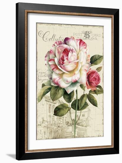 Garden View III Rose-Lisa Audit-Framed Art Print