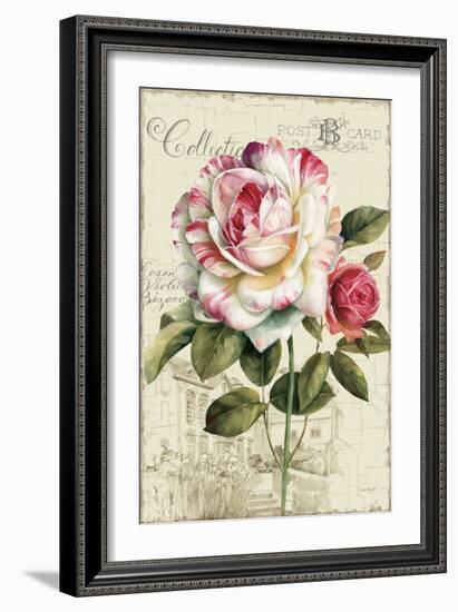 Garden View III Rose-Lisa Audit-Framed Art Print