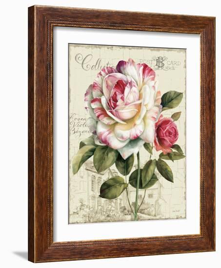 Garden View III-Lisa Audit-Framed Art Print