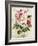 Garden View III-Lisa Audit-Framed Art Print