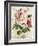 Garden View III-Lisa Audit-Framed Art Print