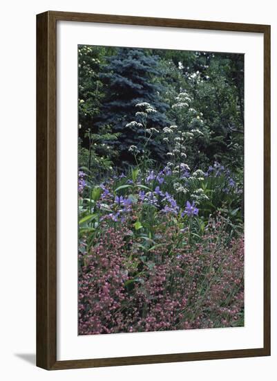 Garden View-Anna Miller-Framed Photographic Print